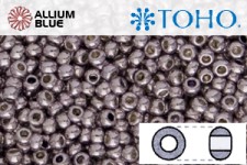 TOHO ラウンド Seed ビーズ (RR6-PF554) 6/0 ラウンド Large - PermaFinish - Galvanized Lilac