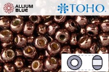 TOHO Round Seed Beads (RR6-PF556) 6/0 Round Large - PermaFinish - Galvanized Mauve