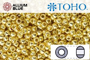 TOHO Round Seed Beads (RR6-PF557) 6/0 Round Large - PermaFinish - Galvanized Starlight - Haga Click en la Imagen para Cerrar