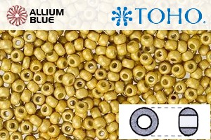 TOHO Round Seed Beads (RR3-PF557F) 3/0 Round Extra Large - PermaFinish - Matte Galvanized Starlight - 关闭视窗 >> 可点击图片