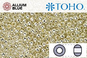TOHO ラウンド Seed ビーズ (RR15-PF558) 15/0 ラウンド Small - PermaFinish - Galvanized Aluminum - ウインドウを閉じる