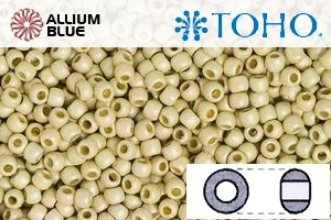 TOHO Round Seed Beads (RR8-PF558F) 8/0 Round Medium - PermaFinish - Matte Galvanized Aluminum