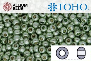 TOHO ラウンド Seed ビーズ (RR11-PF560) 11/0 ラウンド - PermaFinish - Galvanized Sea Foam - ウインドウを閉じる