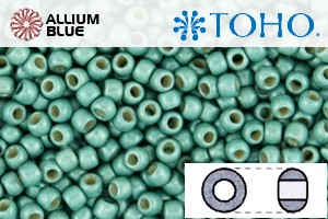 TOHO Round Seed Beads (RR3-PF561F) 3/0 Round Extra Large - PermaFinish - Matte Galvanized Green Teal - Click Image to Close