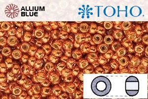 TOHO Round Seed Beads (RR6-PF562) 6/0 Round Large - PermaFinish - Galvanized Saffron - Click Image to Close