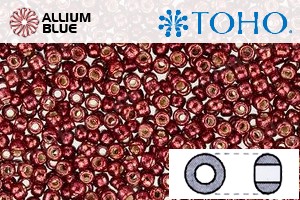 TOHO Round Seed Beads (RR6-PF564) 6/0 Round Large - PermaFinish - Galvanized Brick Red - Click Image to Close