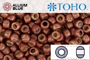 TOHO Round Seed Beads (RR3-PF564F) 3/0 Round Extra Large - PermaFinish - Matte Galvanized Brick Red - 关闭视窗 >> 可点击图片