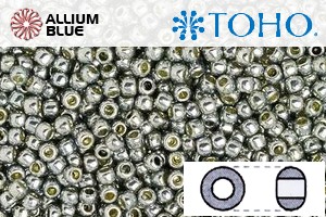 TOHO Round Seed Beads (RR15-PF565) 15/0 Round Small - PermaFinish - Galvanized Blue Slate - Click Image to Close