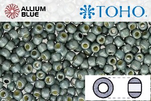 TOHO ラウンド Seed ビーズ (RR3-PF565F) 3/0 ラウンド Extra Large - PermaFinish - Frosted Galvanized Blue Slate