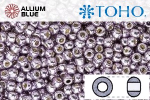 TOHO Round Seed Beads (RR8-PF568) 8/0 Round Medium - PermaFinish - Galvanized Gun Metal Gray - Click Image to Close