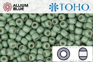 TOHO Round Seed Beads (RR8-PF570F) 8/0 Round Medium - PermaFinish - Frosted Galvanized Mint Green - Click Image to Close