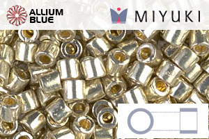 MIYUKI Delica® Seed Beads (DBL1831) 8/0 Round Large - Duracoat Galvanized Silver - 关闭视窗 >> 可点击图片
