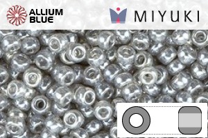 MIYUKI Round Rocailles Seed Beads (RR11-0178) 11/0 Small - Gray Luster - Click Image to Close