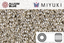 MIYUKI Round Rocailles Seed Beads (RR11-0181) 11/0 Small - Galvanized Silver