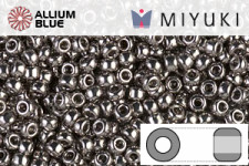 MIYUKI Round Seed Beads (RR11-0190) - Nickel Plated
