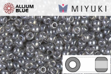 MIYUKI Round Seed Beads (RR11-0368) - Gray Enamel