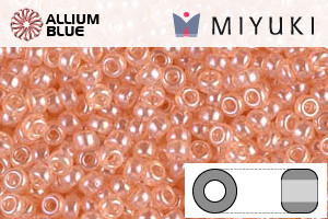 MIYUKI Round Rocailles Seed Beads (RR11-0369) 11/0 Small - 0369 - 关闭视窗 >> 可点击图片