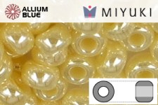 MIYUKI Round Rocailles Seed Beads (RR11-0441) 11/0 Small - 0441