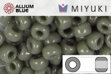 MIYUKI Round Rocailles Seed Beads (RR11-0499) 11/0 Small - Opaque Gray