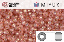 MIYUKI Round Rocailles Seed Beads (RR11-0642) 11/0 Small - Salmon Silverlined Dyed Alabaster