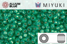 MIYUKI Round Rocailles Seed Beads (RR11-0646) 11/0 Small - Silverlined Dyed Green