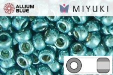 MIYUKI Round Rocailles Seed Beads (RR11-1075) 11/0 Small - Galvanized Dark Aqua