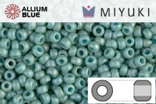 MIYUKI Round Rocailles Seed Beads (RR11-2028) 11/0 Small - Matte Opaque Sea Foam Luster