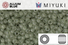 MIYUKI Round Rocailles Seed Beads (RR11-2375) 11/0 Small - 2375