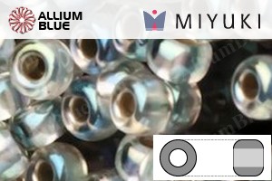 MIYUKI Round Rocailles Seed Beads (RR11-3192) 11/0 Small - 3192 - 关闭视窗 >> 可点击图片