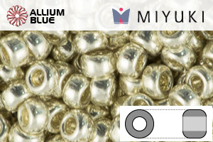MIYUKI Round Rocailles Seed Beads (RR8-0181) 8/0 Large - Galvanized Silver - Haga Click en la Imagen para Cerrar
