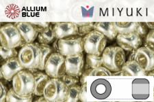 MIYUKI Round Rocailles Seed Beads (RR8-0181) 8/0 Large - Galvanized Silver