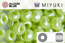 MIYUKI Round Rocailles Seed Beads (RR8-0439) 8/0 Large - 0439