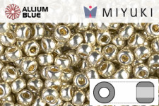 MIYUKI Round Rocailles Seed Beads (RR8-4201) 8/0 Large - DURACOAT Galvanized Silver