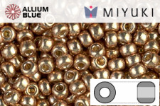 MIYUKI Round Rocailles Seed Beads (RR8-4204) 8/0 Large - DURACOAT Galvanized Champagne