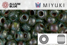 MIYUKI Round Rocailles Seed Beads (RR6-4506) 6/0 Extra Large - Transparent Sea Foam Picasso