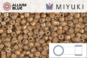MIYUKI Delica® Seed Beads (DB1163) 11/0 Round - Galvanized Matte Mead