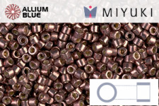 MIYUKI Delica® Seed Beads (DB1843) 11/0 Round - Duracoat Galvanized Dark Mauve