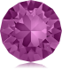 紫紅 F